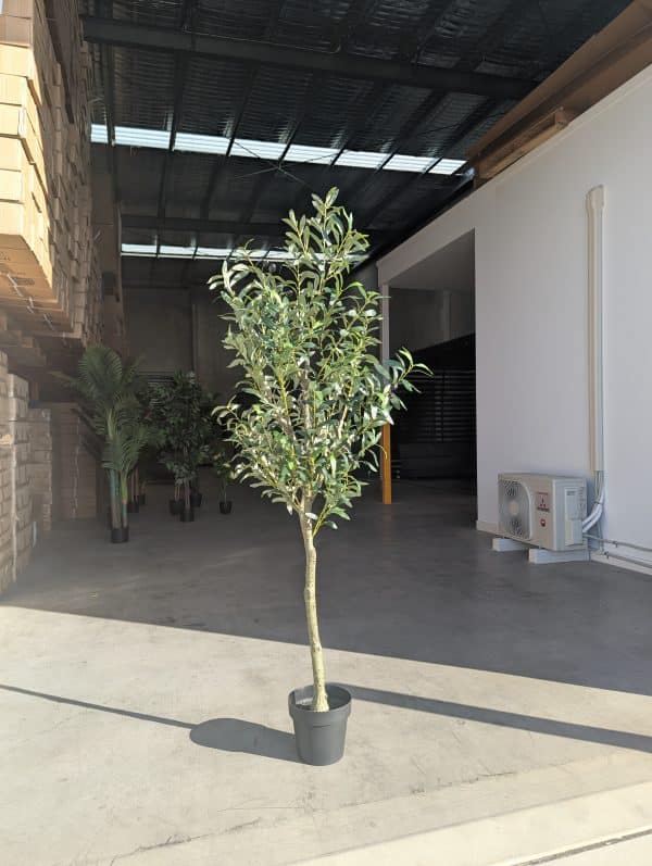 180cm Artificial Olive Outdoor Decor Tree – Lifelike Indoor & Outdoor Decor - Image 2