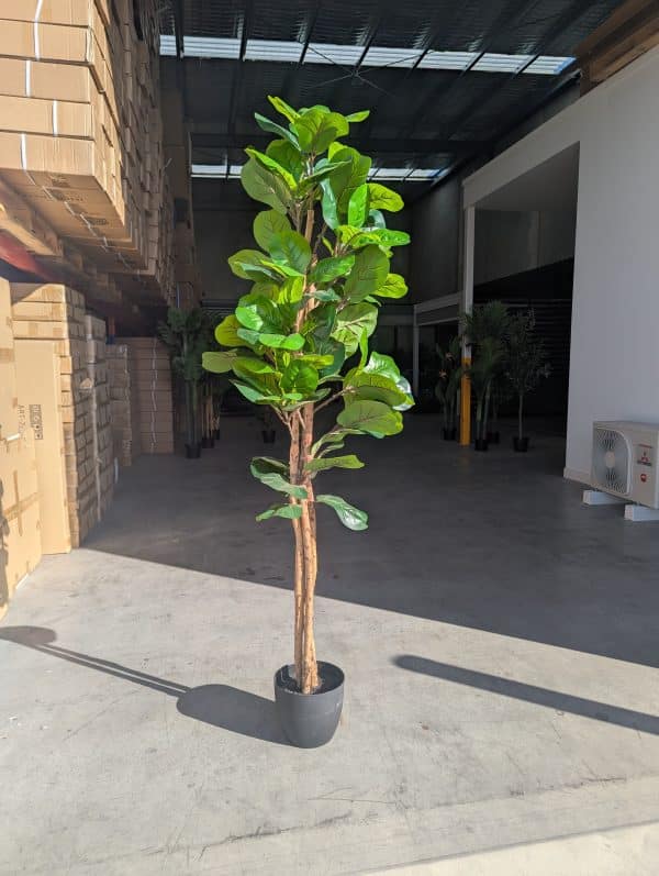 180cm Fiddle Leaf 3 Pole - Image 2