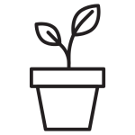 Plants