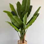 180cm Artificial Banana Outdoor Decor Tree with 3 Poles and 21 Leaves