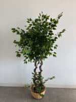 180cm Artificial Banyan Outdoor Decor Tree with 2 Poles