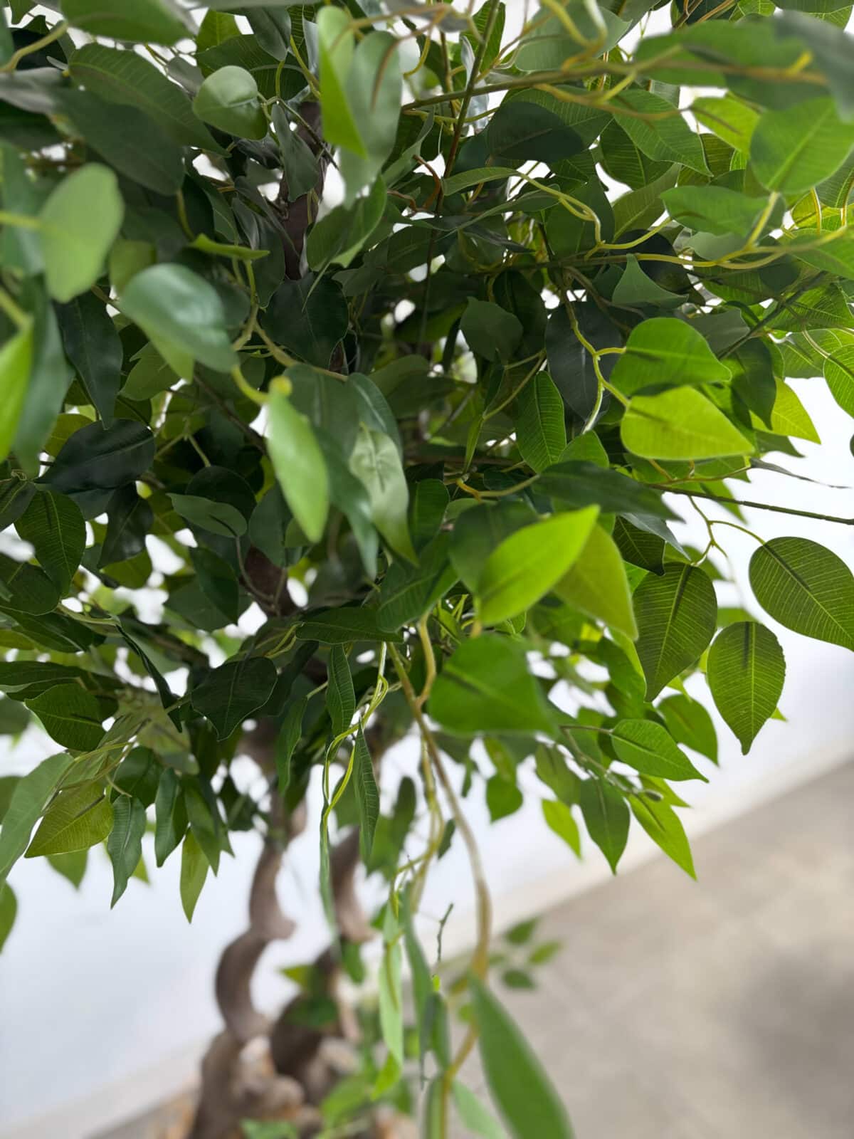 180cm Artificial Banyan Outdoor Decor Tree with 2 Poles - Image 2