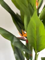 150cm Artificial Birds of Paradise Plant with 3 Poles and 26 Leaves - Image 3