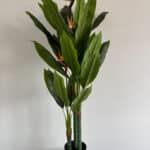 150cm Artificial Birds of Paradise Plant with 3 Poles and 26 Leaves