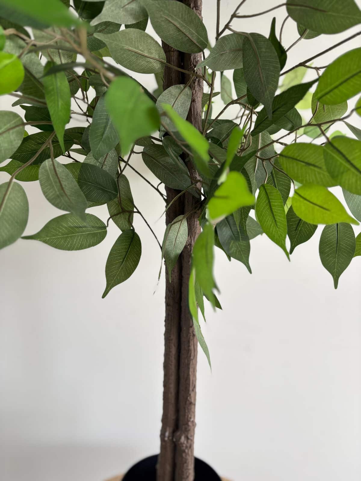 180cm Artificial Ficus Outdoor Decor Tree - Image 3