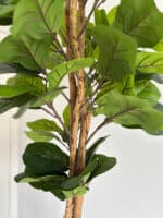180cm Fiddle Leaf 3 Pole - Image 3