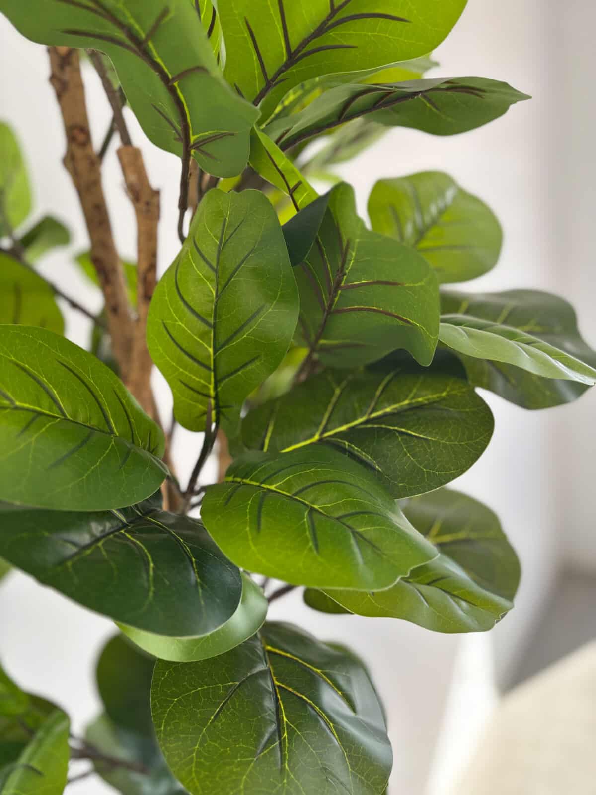 180cm Fiddle Leaf 3 Pole - Image 2