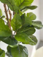 180cm Fiddle Leaf 3 Pole - Image 2