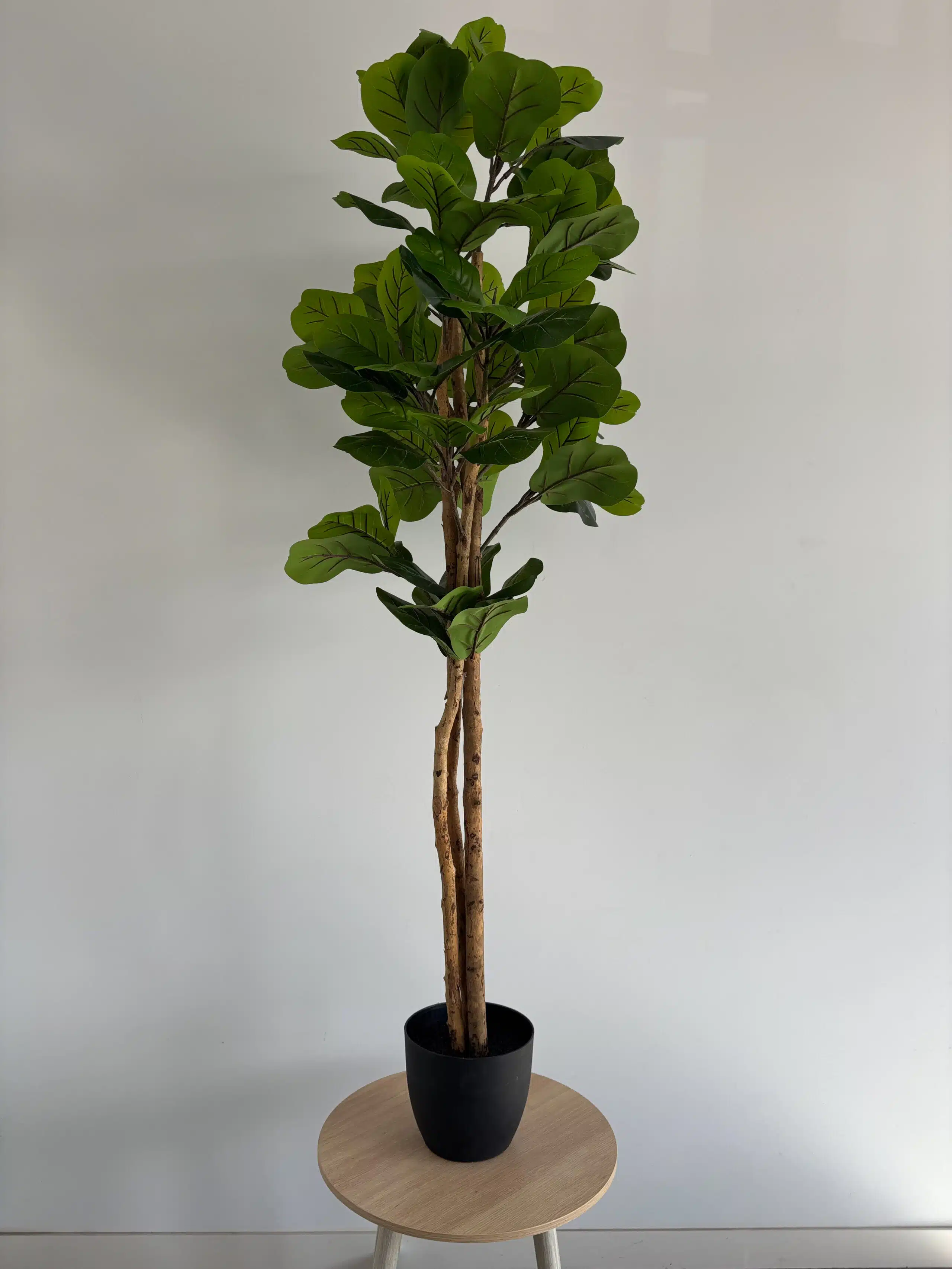 fiddle-leaf-tree 180cm fiddle leaf 3 pole