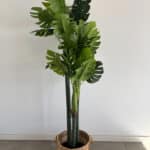 170cm Artificial Monstera Outdoor Decor Tree with 3 Poles and 26 Leaves