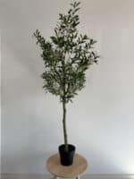 180cm Artificial Olive Outdoor Decor Tree – Lifelike Indoor & Outdoor Decor