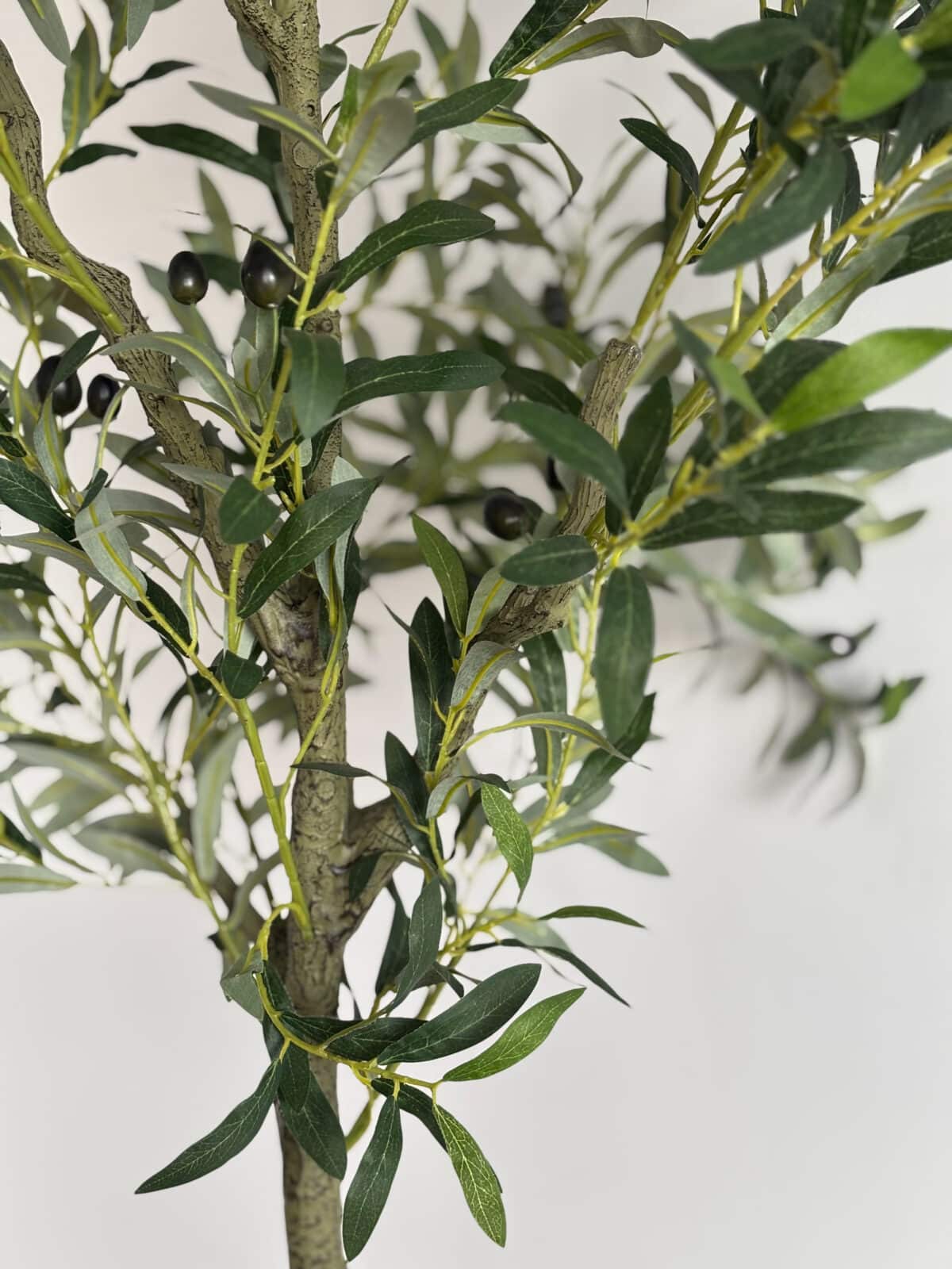 180cm Artificial Olive Outdoor Decor Tree – Lifelike Indoor & Outdoor Decor - Image 2