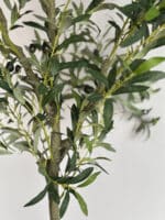 180cm Artificial Olive Outdoor Decor Tree – Lifelike Indoor & Outdoor Decor - Image 2