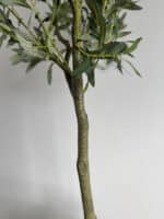 180cm Artificial Olive Outdoor Decor Tree – Lifelike Indoor & Outdoor Decor - Image 3