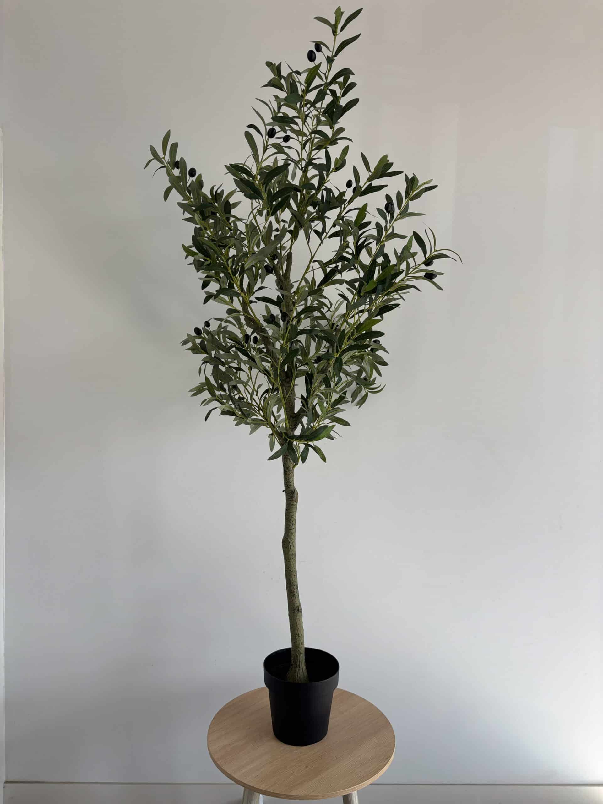 olive-tree 180cm Artificial Olive Outdoor Decor Tree – Lifelike Indoor & Outdoor Decor - Image 1
