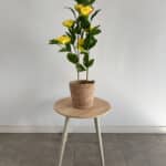 80cm Yellow Artificial Peony in Decorative Pot - Outdoor Decor