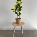80cm yellow artificial peony in decorative pot outdoor decor