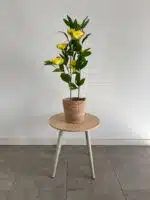 80cm yellow artificial peony in decorative pot outdoor decor